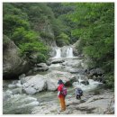 경북수목원-임도-삼거리-시명리-내연산 12폭포-보경사-주차장