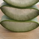 삼영농장 이미지