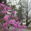 청북중학교 이미지