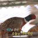 영조농장 이미지