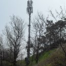 옥도면 장자도리 이미지