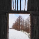 세양목장 | 1월 | 대관령양떼목장 설경