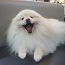 더나은메디칼 이미지