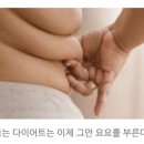 초지V점핑