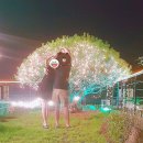 더오딘펜션(K동) 네이버블로그