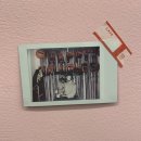 비마인 독 이미지