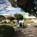 새 하나농장 이미지