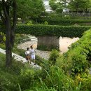 서울숲 Daum카페