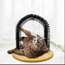 그루밍솔 이미지