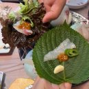 홍매회수산 | 대구 용산동 맛집 달서구 횟집 홍매회수산