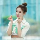 샤샤 일간스포츠