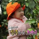 경완농장 이미지