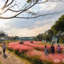 대덕구 산호빛 공원 이미지