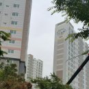 풀리페아파트 이미지