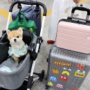 새롬카서비스 이미지