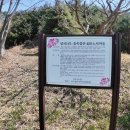 매실농장 이미지