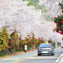 벚꽃마을경로당 이미지