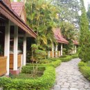 숲속의 휴식 이미지