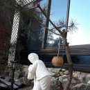 성주컴퍼니 - 서구 청라대로 127 | 성주컴퍼니