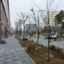 국세청앞BRT 이미지