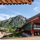 신흥사 - 1350 | 신흥사