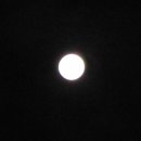 블루문(Blue Moon) 이미지