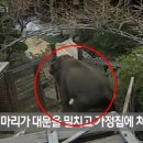 오늘 탈출