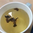 장뜰영농조합법인