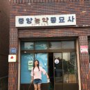 가야농약종묘사 뉴스1