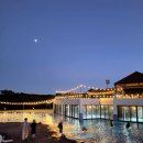 (주)제주프리투어 | 제주 에코랜드 호텔 수영장 조식 뷔페 총정리, 제주도 가족여행 숙소