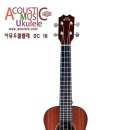 우쿨렐레(중,고급) 이미지