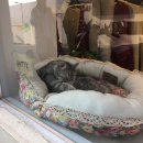 어! 당구장 이미지