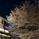 씨유 홍대점 | 물결이 가득히 너에게 닿기를