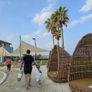 해비치수영장 | 제주 해비치 호텔 수영장 이용 후기(아이랑 가기 좋을까?)