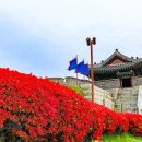 수원화성 창룡문 연무대 - 청솔 이미지
