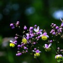 함한의원 이미지