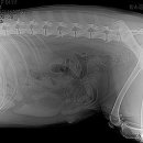 태산동물병원 이미지