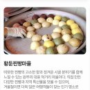 9**토요걷기(8/1)"단종의 발길을 따라서"원주 트레킹과 해설탐방 열차와버스연계해서 갑니다~7월2일 수정 마감(코스변경) 이미지