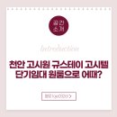 규스테이