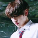 디엠아이 이미지