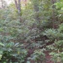 장항1리마을회관 이미지