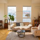 플랜테리어 이미지