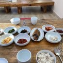 대관령황태촌 | 강릉 주문진 맛집 대관령 황태촌 내돈내산 후기