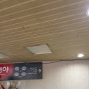 인천 SSG 랜더스필드 몰리스 그린존 외야 시야 / 우천 중단 후기