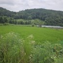 화령농장 이미지