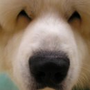 JJ 당구장 Daum카페