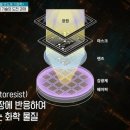 ⓔ.포토