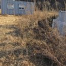 파주쌀눈쌀 이미지