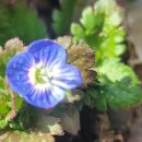 장선포1 이미지