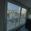 보우근화 이미지